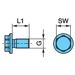 BPW BOLT A/BAG SPR M16X65