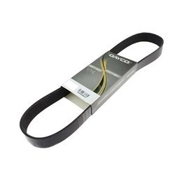 AUTO POLY RIB BELT