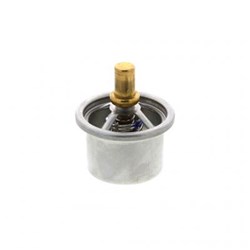 THERMOSTAT 175F