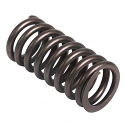VALVE SPRING