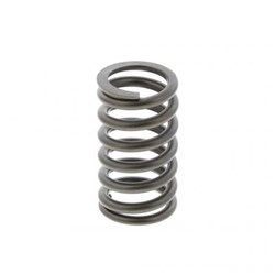 VALVE SPRING