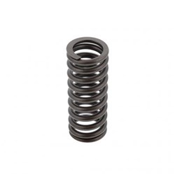 VALVE SPRING