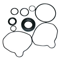 POWER STEERING PUMP KIT