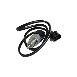REVERSE LIGHT SWITCH