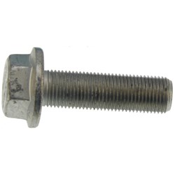 CALIPER MOUNT BOLT M16 SAF