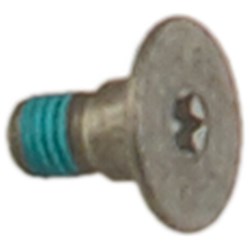 FLANGED SCREW